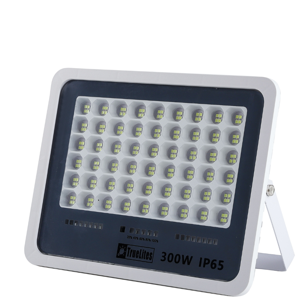 300W CHARGEABLE FLOODLIGHT TRUELITES 6500K